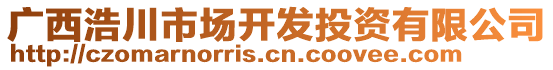 广西浩川市场开发投资有限公司