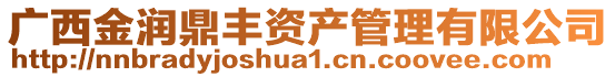 广西金润鼎丰资产管理有限公司