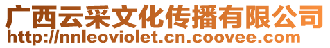 廣西云采文化傳播有限公司