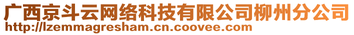 廣西京斗云網(wǎng)絡(luò)科技有限公司柳州分公司