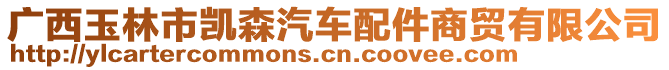 廣西玉林市凱森汽車配件商貿(mào)有限公司