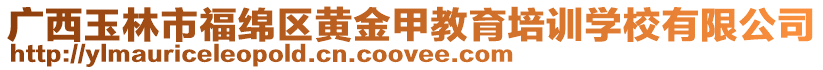 廣西玉林市福綿區(qū)黃金甲教育培訓(xùn)學(xué)校有限公司