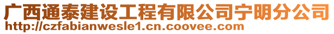 廣西通泰建設(shè)工程有限公司寧明分公司