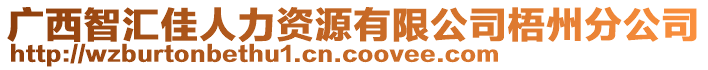 廣西智匯佳人力資源有限公司梧州分公司