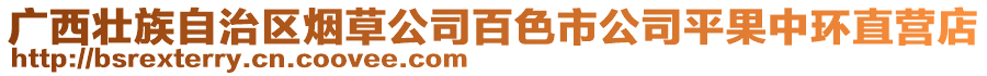 廣西壯族自治區(qū)煙草公司百色市公司平果中環(huán)直營店