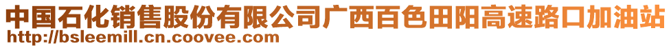 中國石化銷售股份有限公司廣西百色田陽高速路口加油站