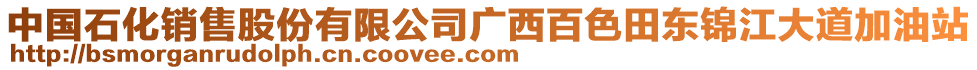 中國石化銷售股份有限公司廣西百色田東錦江大道加油站