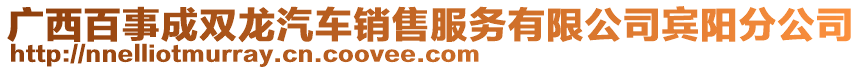 廣西百事成雙龍汽車銷售服務(wù)有限公司賓陽分公司