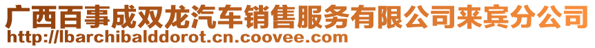 廣西百事成雙龍汽車銷售服務(wù)有限公司來賓分公司