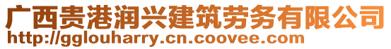 廣西貴港潤興建筑勞務(wù)有限公司