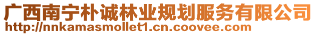 廣西南寧樸誠林業(yè)規(guī)劃服務(wù)有限公司