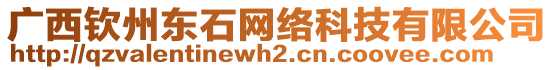 廣西欽州東石網(wǎng)絡(luò)科技有限公司