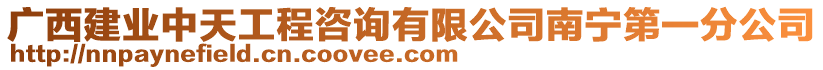 廣西建業(yè)中天工程咨詢有限公司南寧第一分公司