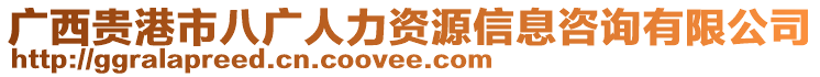 廣西貴港市八廣人力資源信息咨詢有限公司