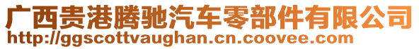 廣西貴港騰馳汽車零部件有限公司