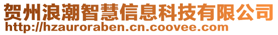 賀州浪潮智慧信息科技有限公司