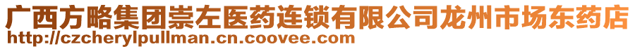 廣西方略集團崇左醫(yī)藥連鎖有限公司龍州市場東藥店