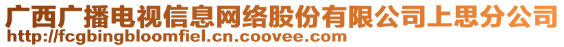 广西广播电视信息网络股份有限公司上思分公司