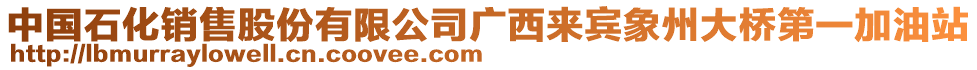 中國(guó)石化銷(xiāo)售股份有限公司廣西來(lái)賓象州大橋第一加油站