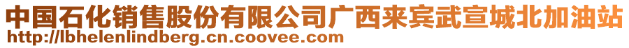 中國石化銷售股份有限公司廣西來賓武宣城北加油站