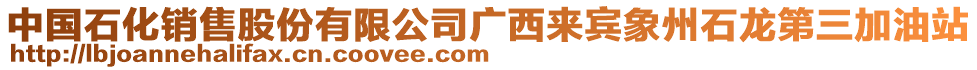 中國石化銷售股份有限公司廣西來賓象州石龍第三加油站