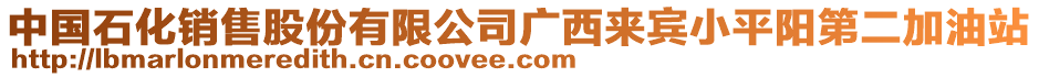 中國(guó)石化銷(xiāo)售股份有限公司廣西來(lái)賓小平陽(yáng)第二加油站