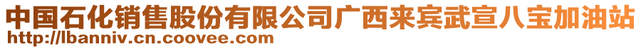 中國(guó)石化銷(xiāo)售股份有限公司廣西來(lái)賓武宣八寶加油站