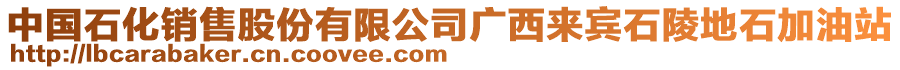 中國(guó)石化銷售股份有限公司廣西來賓石陵地石加油站