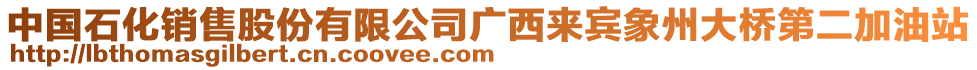 中國石化銷售股份有限公司廣西來賓象州大橋第二加油站