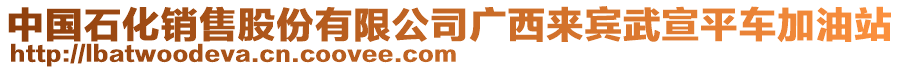 中國石化銷售股份有限公司廣西來賓武宣平車加油站