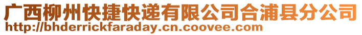 廣西柳州快捷快遞有限公司合浦縣分公司