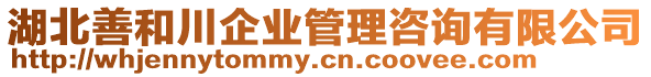 湖北善和川企業(yè)管理咨詢有限公司