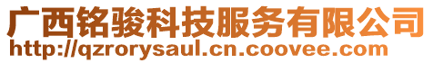 廣西銘駿科技服務(wù)有限公司