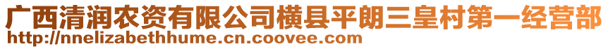 廣西清潤(rùn)農(nóng)資有限公司橫縣平朗三皇村第一經(jīng)營(yíng)部