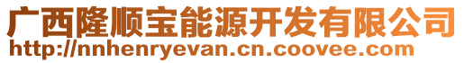 广西隆顺宝能源开发有限公司