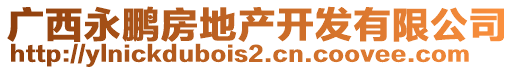 廣西永鵬房地產開發(fā)有限公司