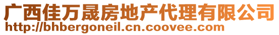 廣西佳萬(wàn)晟房地產(chǎn)代理有限公司