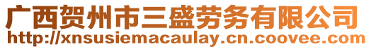 廣西賀州市三盛勞務(wù)有限公司