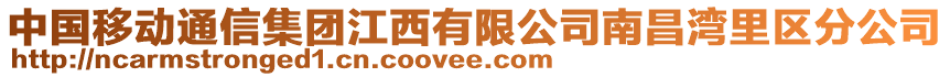 中國(guó)移動(dòng)通信集團(tuán)江西有限公司南昌灣里區(qū)分公司