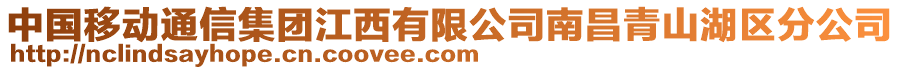 中國(guó)移動(dòng)通信集團(tuán)江西有限公司南昌青山湖區(qū)分公司