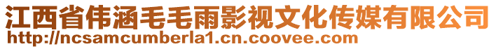 江西省偉涵毛毛雨影視文化傳媒有限公司