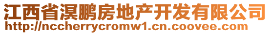 江西省溟鵬房地產(chǎn)開(kāi)發(fā)有限公司