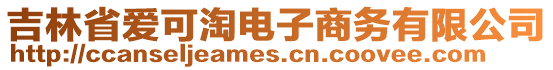 吉林省愛(ài)可淘電子商務(wù)有限公司