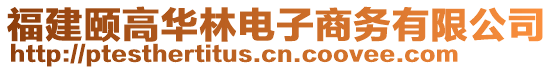 福建頤高華林電子商務(wù)有限公司