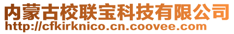 內(nèi)蒙古校聯(lián)寶科技有限公司