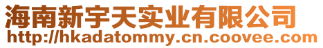 海南新宇天實業有限公司