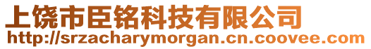 上饒市臣銘科技有限公司