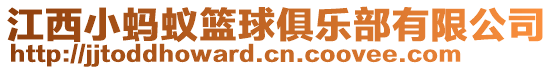 江西小螞蟻籃球俱樂部有限公司