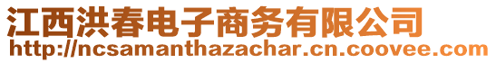 江西洪春電子商務(wù)有限公司