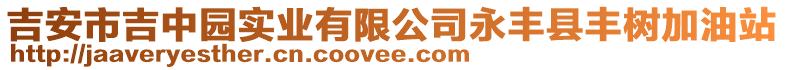 吉安市吉中園實業(yè)有限公司永豐縣豐樹加油站